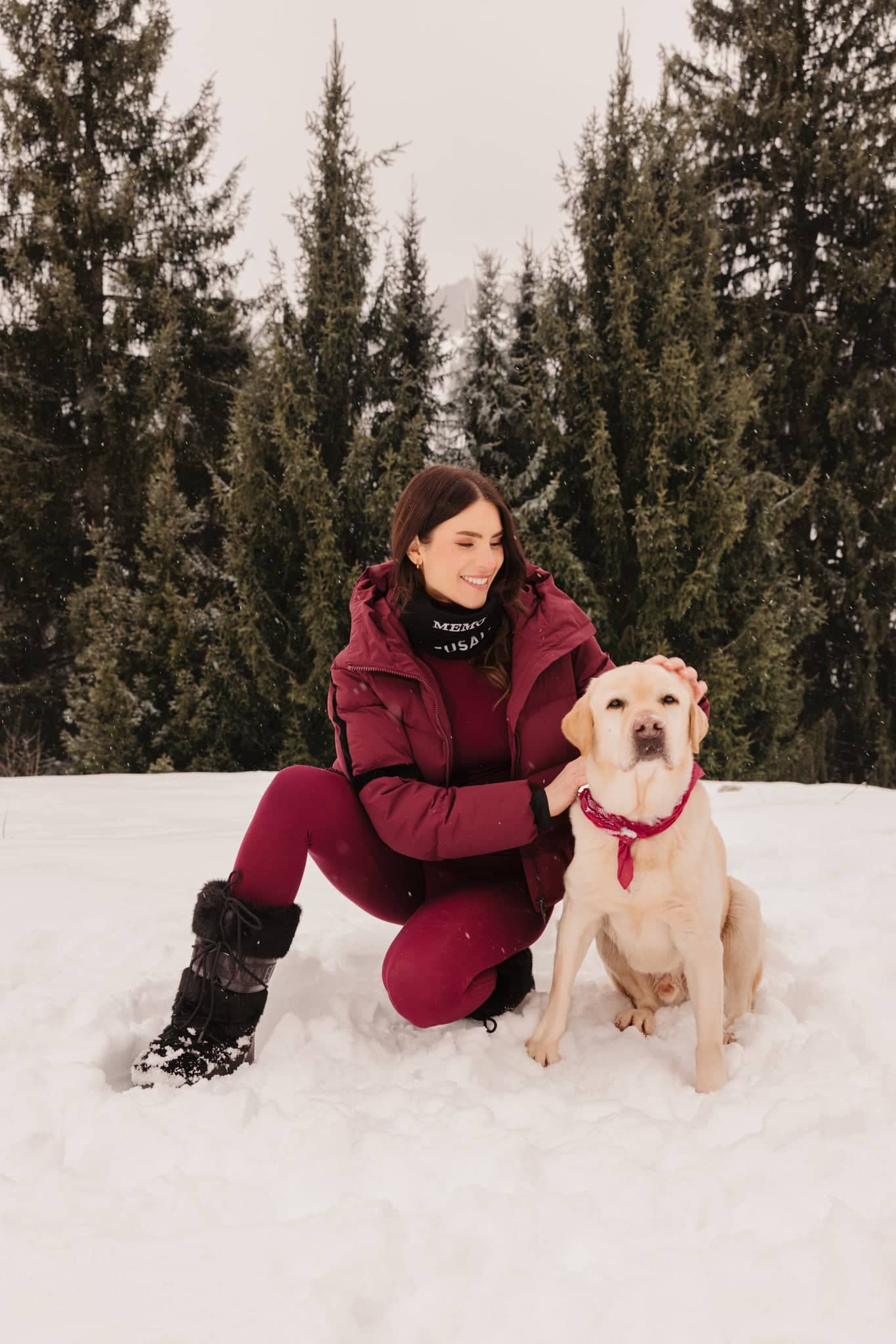 A light-colored labrador retriever wearing a red collar sits in the snow beside its owner.